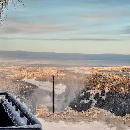 New Ap The Nest In Hafjell In Out And Fast Wifi Appartamento Øyer